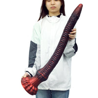 dragondildo